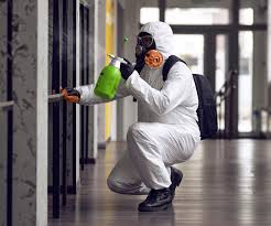 Best Mold Removal for HVAC Installations  in Jefferson, WI